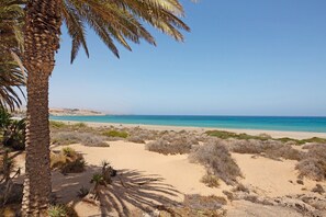 A beach with sand dunes, sparse vegetation, and a clear blue sky.