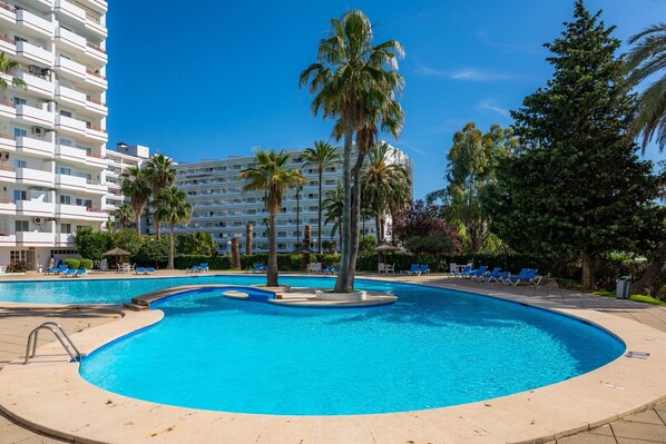 A swimming pool with palm trees, lounge chairs, and a multi-story building in the background.