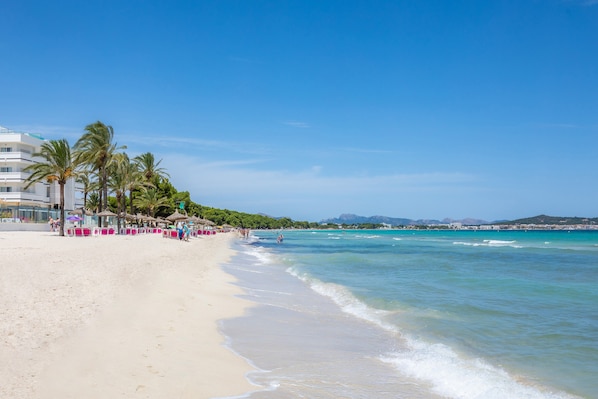 A beach with palm trees, a sandy shore, and a clear blue sky.