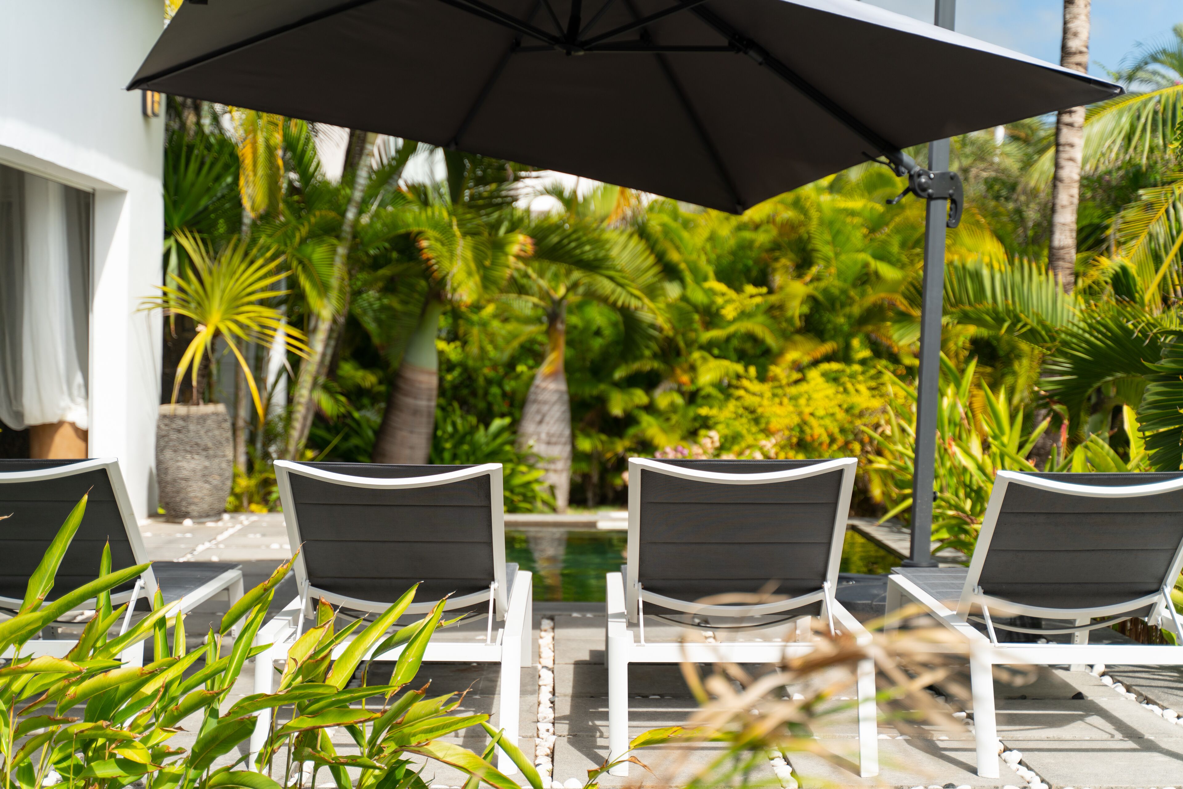 Zona junto a la piscina con sillones de descanso y una sombrilla.