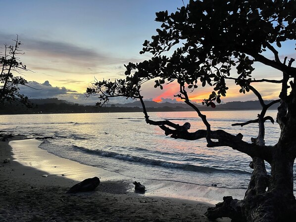 Playa en los alrededores 