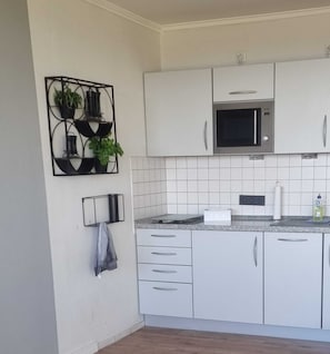 Kühlschrank, Mikrowelle, Herdplatte, Geschirrspüler