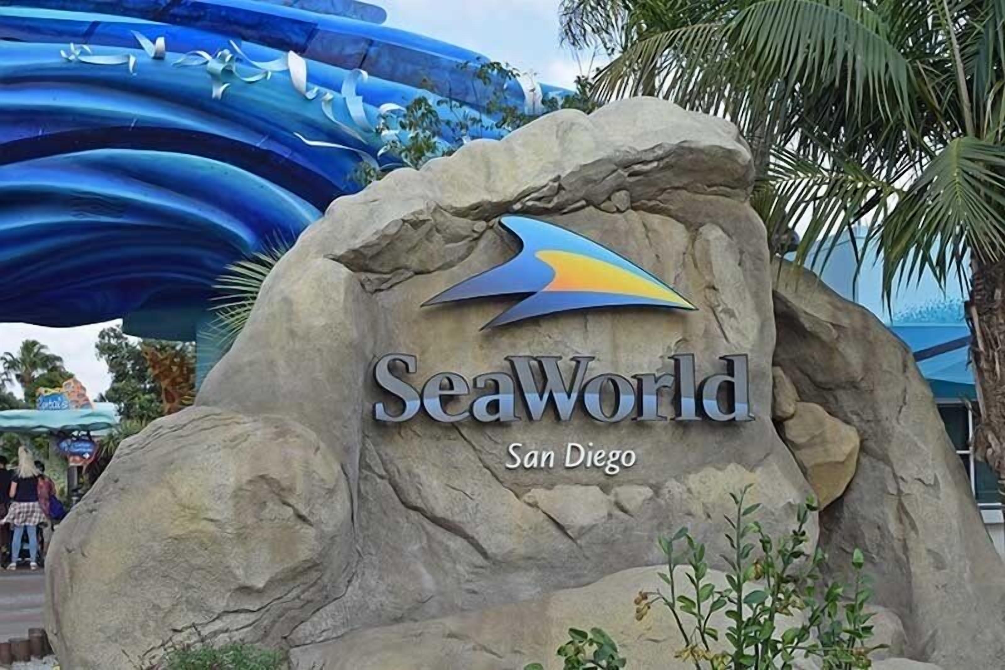 Ein großer Felsen mit dem Text „SeaWorld San Diego“ und einem stilisierten Delphin-Logo.