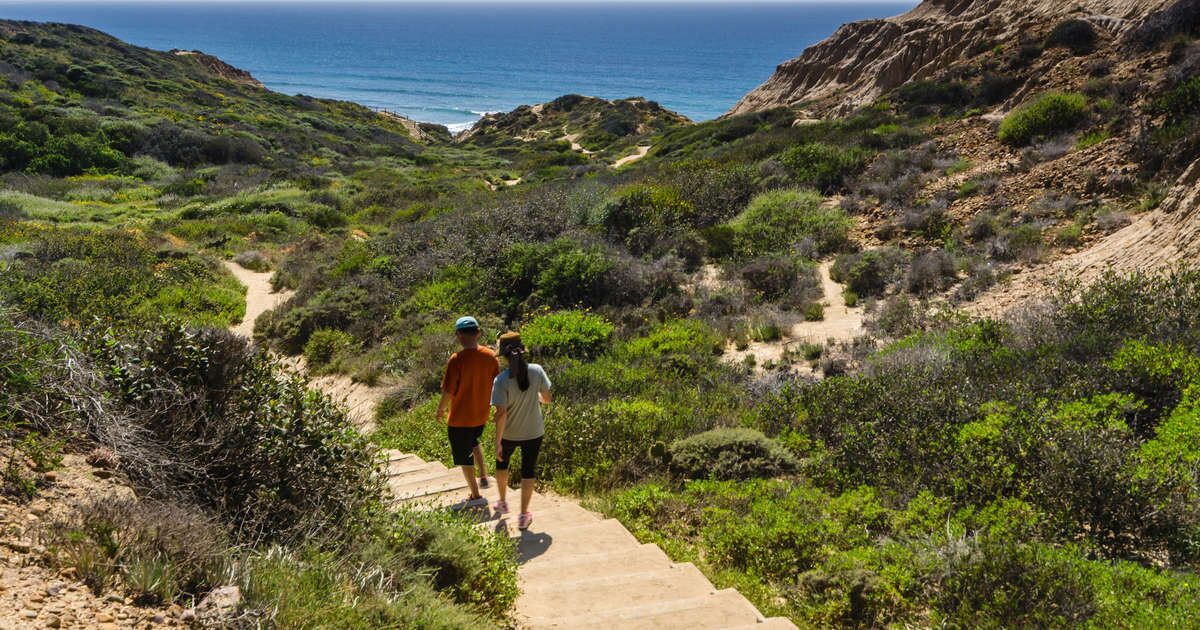 Un sendero que lleva a la costa, con vista al océano.