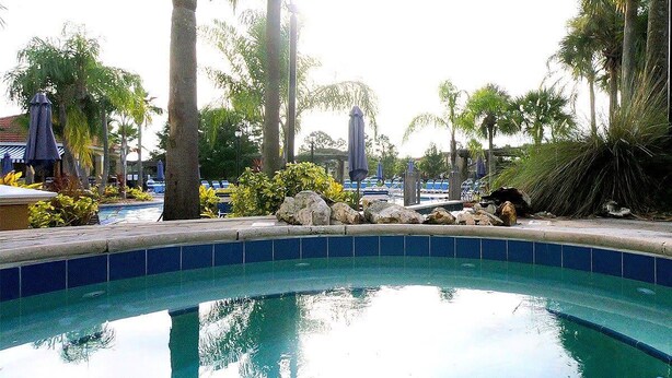 Una piscina con borde de azulejos, rodeada de palmeras y rocas.