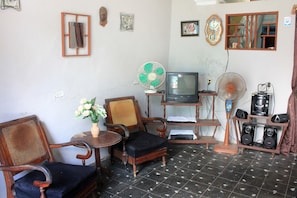 A compact living space with a television, a fan, and a small table with a vase of flowers. - Hostal Aniel TRINIDAD (Trinidad)