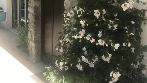 A stone entrance with a wooden door, a potted plant with white flowers, and a chair outside. - Bourg d'Oisans, a cyclist's paradise (Le Bourg-d'Oisans)