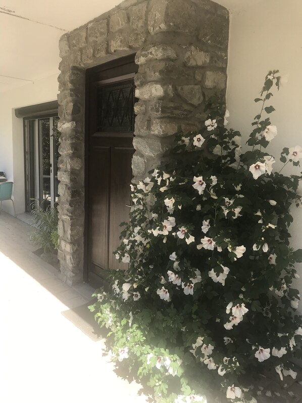 A stone entrance with a wooden door, a potted plant with white flowers, and a chair outside.