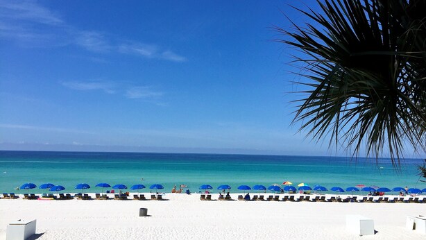 A beach with white sand, a clear blue sky, and turquoise water. There are rows of blue umbrellas and beach chairs.
