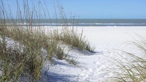 Ein Strand mit Dünen und spärlicher Vegetation.