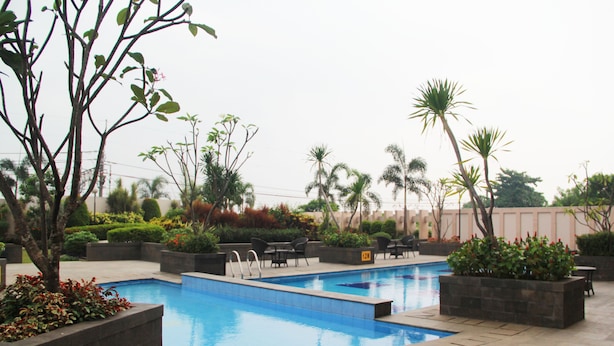 Une piscine rectangulaire bordée de carreaux, entourée de jardinières contenant diverses plantes et arbres, ainsi que de mobilier d’extérieur.