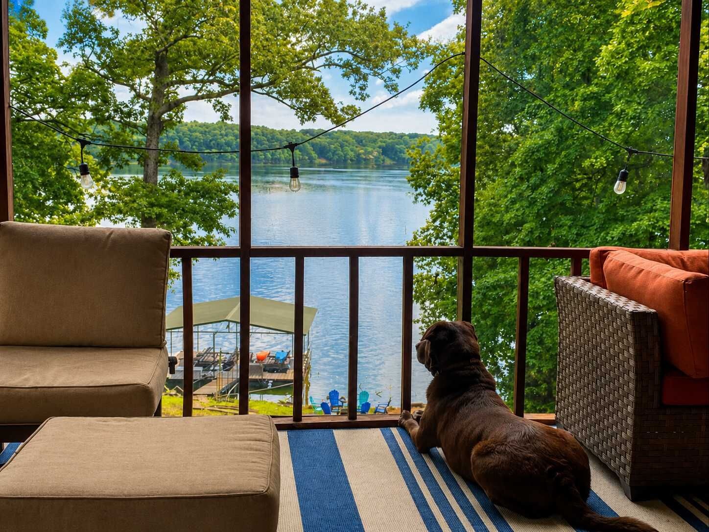 Un perro sentado sobre una alfombra junto a una ventana con vista a un lago, con sillas y una terraza cubierta a la vista.