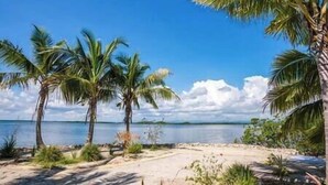 Une plage bordée de palmiers, sous un ciel dégagé.