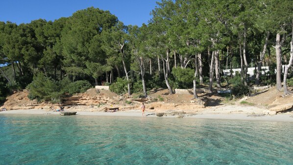 Plage à proximité