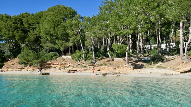 Una playa con agua turquesa cristalina, rodeada de árboles verdes y terreno rocoso.