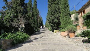 Una escalera de piedra que asciende por una colina, flanqueada por árboles altos y plantas en macetas.