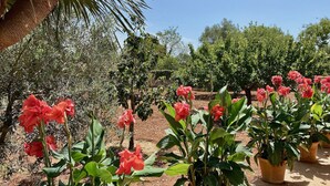 Um jardim com vasos de plantas e plantas floridas.