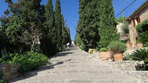 Una escalera de piedra que asciende, bordeada por árboles altos y plantas en macetas.