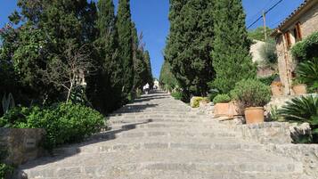 Jardines del alojamiento