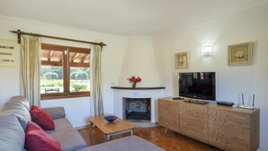 Uma sala de estar com sofá, televisão, lareira e um armário de madeira.