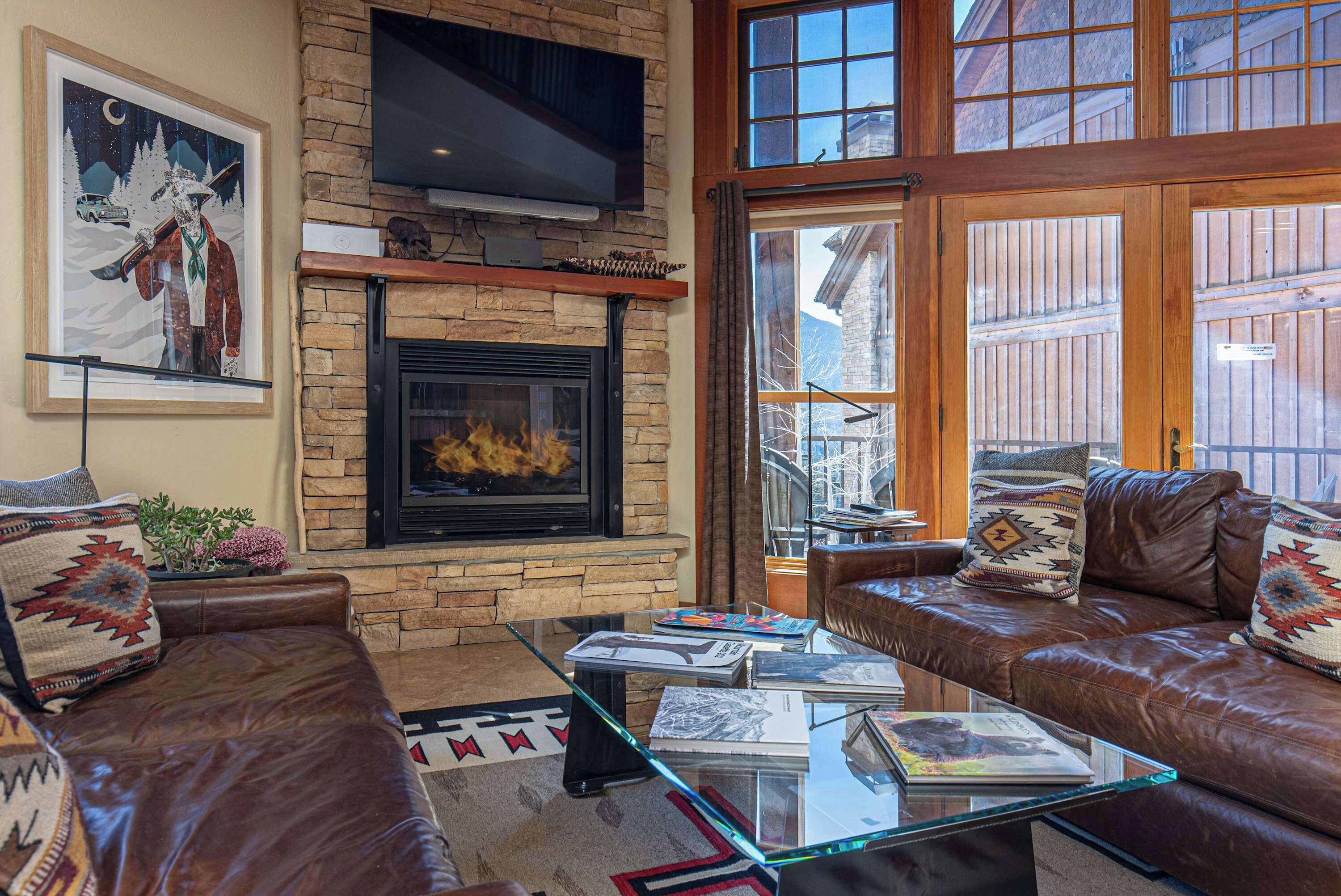 电视、壁炉、电子游戏、书