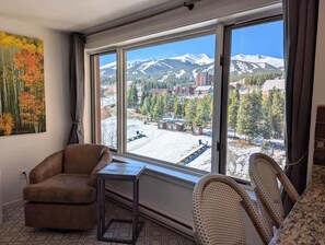 Interior - Mountain Views and Main St. Too (Breckenridge)