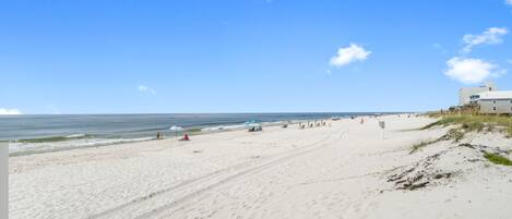 بالقرب من الشاطئ