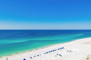 On the beach - Gulf Front Condo with a Gorgeous View (Orange Beach)