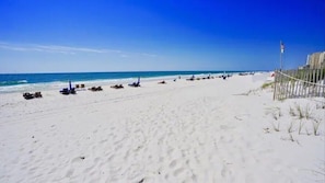 On the beach