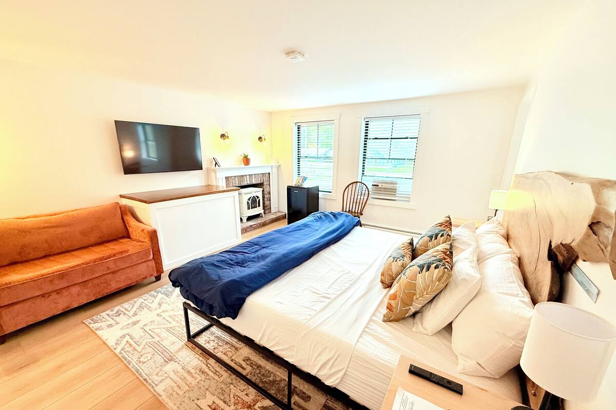 A modern bedroom with a bed, a sofa, a TV, and a fireplace.