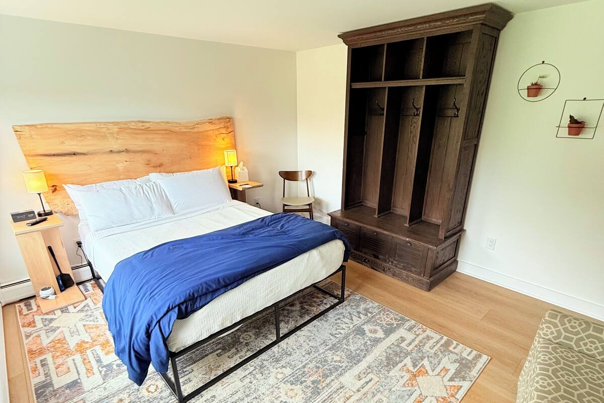 A bedroom with a bed, bedside tables, a wooden headboard, a wardrobe, a patterned rug, and a small potted plant on the wall.