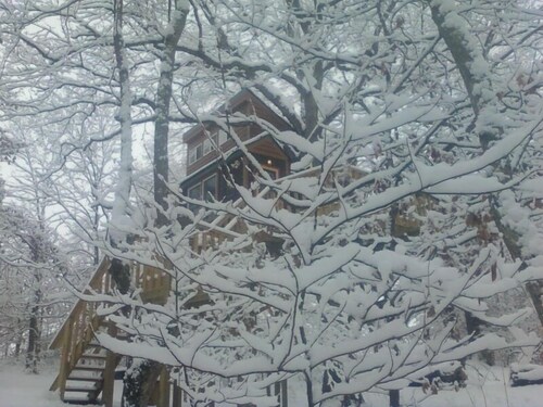 White Oak Tree House by Garden of the Gods in the Shawnee National Forest