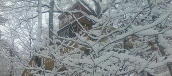 White Oak Tree House by Garden of the Gods in the Shawnee National Forest