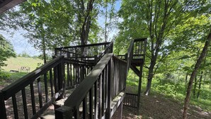 Un escalier en bois mène à une plateforme d’observation entourée d’arbres.