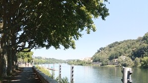Ein Uferweg mit Bäumen, einer Betonkante und ruhigem Gewässer.