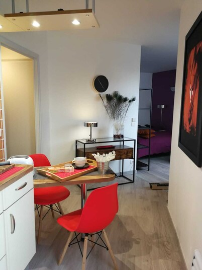 PRETTY STUDIO 20 mins from Geneva