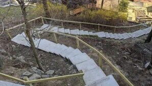 Un ensemble d’escaliers extérieurs en béton, dotés d’une rambarde jaune, entouré de végétation naturelle et de matériaux de construction.