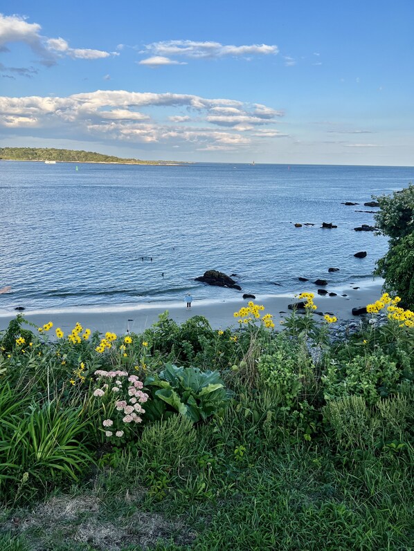 Beach nearby, beach towels