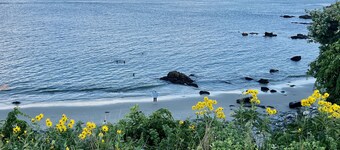 Private Contemporary Artist's Tree House on two acres with perennial gardens. 