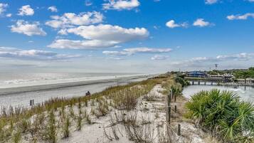 Sun-loungers, beach towels