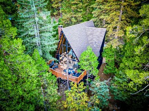 A cabin with a sloped roof, surrounded by dense forest.