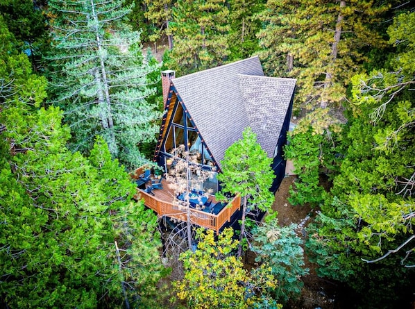 A cabin with a sloped roof, surrounded by dense forest.