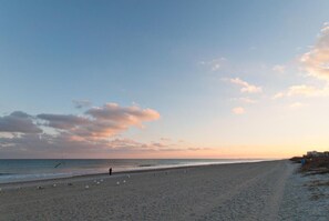 Playa