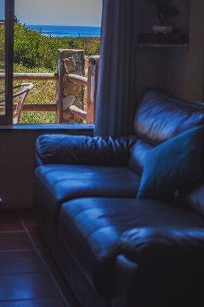 Smart TV, chimenea, libros