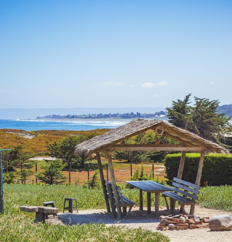 Beautiful House, Wave/Surf Steps. Point of Wolves