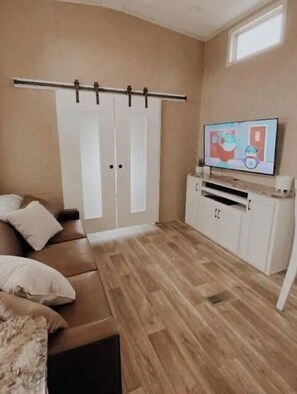 Televisor 
