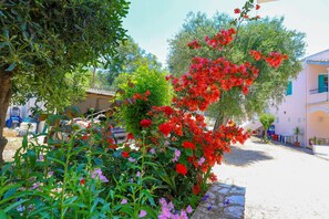 Apartment | 2 Schlafzimmer