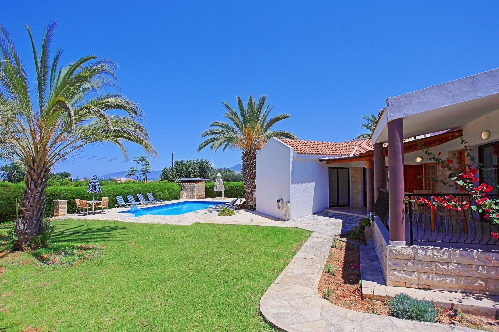 A residential property with a swimming pool, palm trees, and a covered patio area.
