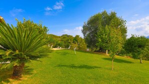 Uma área gramada bem cuidada com diversas árvores, incluindo uma palmeira imponente, e um céu azul límpido.