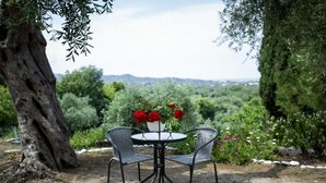 Una taula rodona amb dues cadires, una planta en test amb flors vermelles, i vista a un jardí exuberant i turons llunyans.